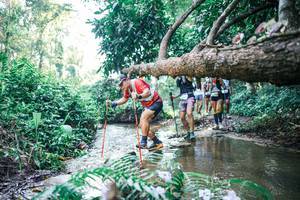 BIB: 
                            <button type="button" onclick="openModal(25441424)" class="btn btn-primary btn-sm float-right btn-popup" data-toggle="modal" data-target=".modal-high-quality">
                        <i class="fas fa-shopping-cart"></i> Add to Cart
                    </button>
                                            <button type="button" onclick="isThisMe(25441424, true)" class="btn btn-success btn-sm float-right btn-popup btn-isme hidden" data-toggle="tooltip" data-placement="bottom" title="นี่คือรูปของคุณใช่ไหม คลิกที่นี่เพื่อเอาเข้าอัลบั้ม">
                        <i class="fas fa-plus"></i> Add to album
                    </button>
                    <button type="button" onclick="isThisMe(25441424, false)" class="btn btn-warning btn-sm float-right btn-popup btn-isnotme hidden">
                        <i class="fas fa-ban"></i> Remove from album
                    </button>